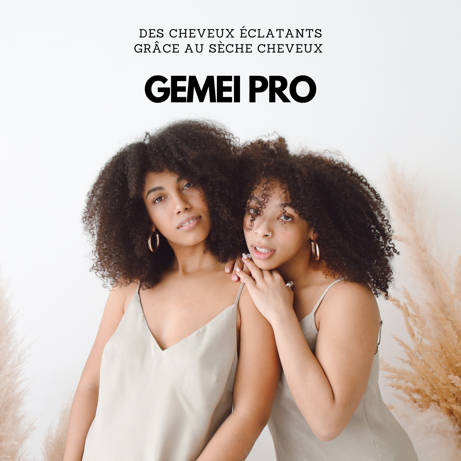 Sèche Cheveux professionnel GEMEI Pro